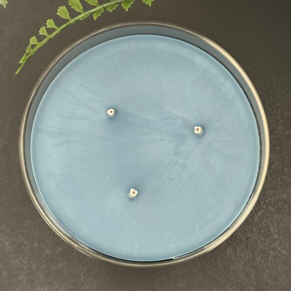 BBW To All A Good Night Bath & Body Works 3 Wick Candle - Picture 7 of 10